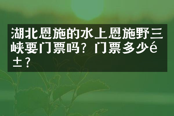 湖北恩施的水上恩施野三峡要门票吗？门票多少钱？