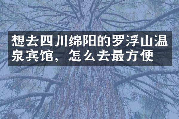想去四川绵阳的罗浮山温泉宾馆，怎么去最方便