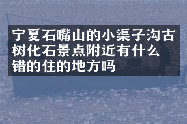 宁夏石嘴山的小渠子沟古树化石景点附近有什么不错的住的地方吗