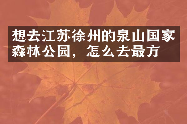 想去江苏徐州的泉山国家森林公园，怎么去最方便