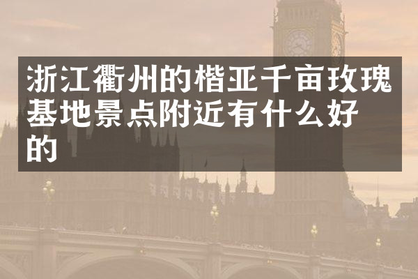 浙江衢州的楷亚千亩玫瑰基地景点附近有什么好吃的