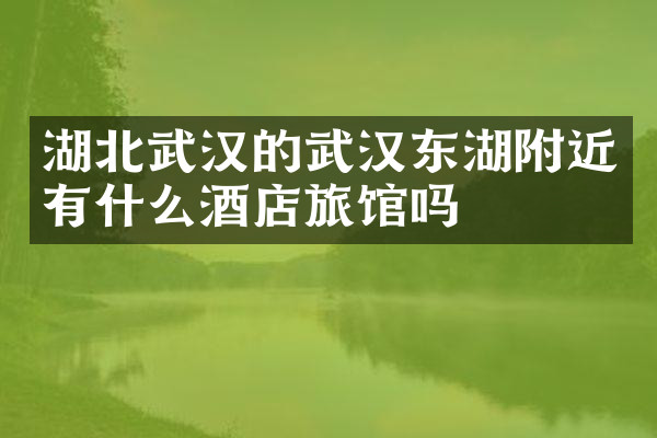湖北武汉的武汉东湖附近有什么酒店旅馆吗