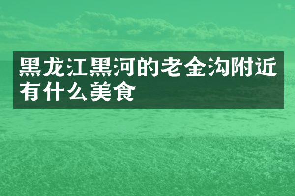 黑龙江黑河的老金沟附近有什么美食