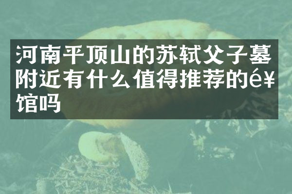 河南平顶山的苏轼父子墓附近有什么值得推荐的饭馆吗