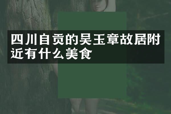 四川自贡的吴玉章故居附近有什么美食