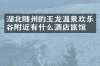 湖北随州的玉龙温泉欢乐谷附近有什么酒店旅馆吗