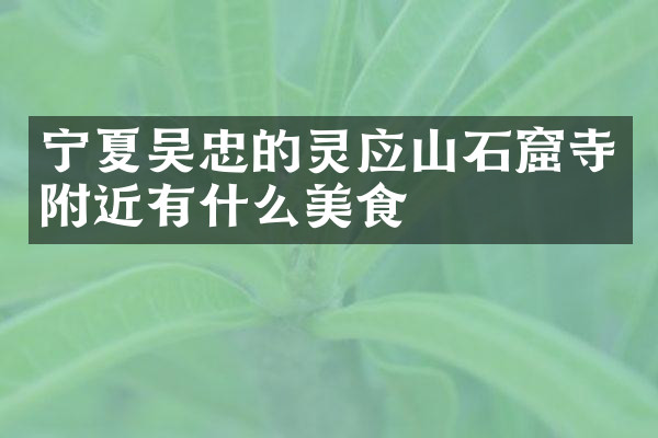 宁夏吴忠的灵应山石窟寺附近有什么美食