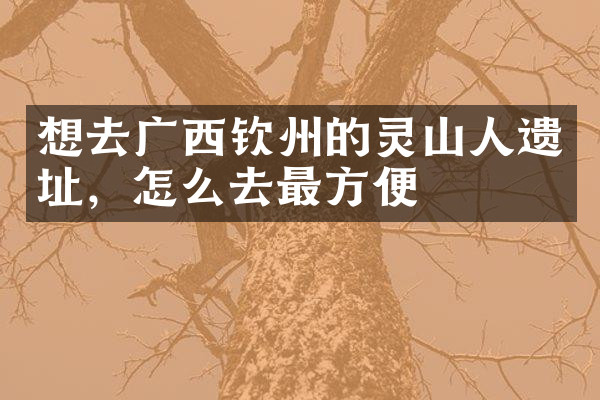 想去广西钦州的灵山人遗址，怎么去最方便