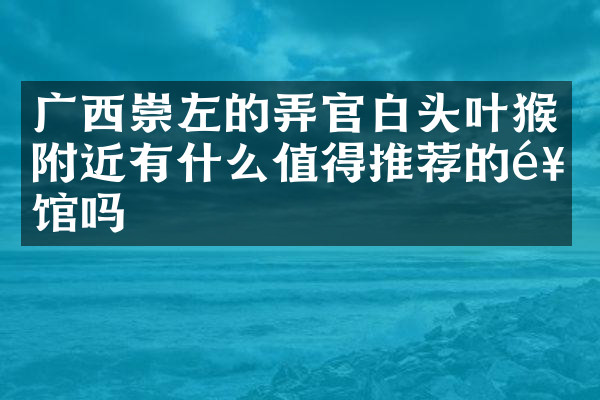 广西崇左的弄官白头叶猴附近有什么值得推荐的饭馆吗