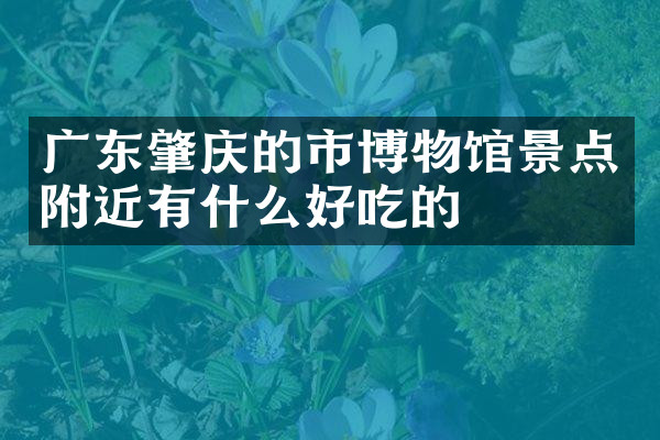 广东肇庆的市博物馆景点附近有什么好吃的