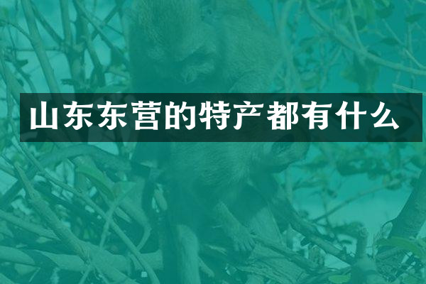 山东东营的特产都有什么