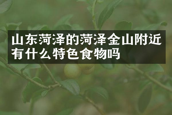 山东菏泽的菏泽金山附近有什么特色食物吗