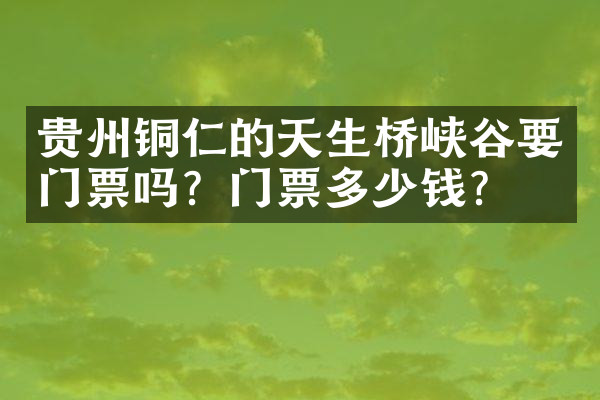贵州铜仁的天生桥峡谷要门票吗？门票多少钱？