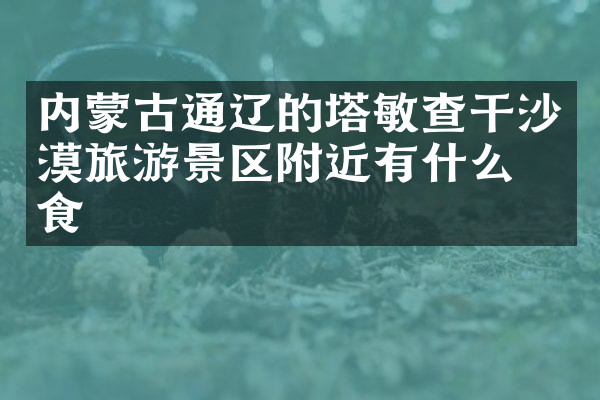 内蒙古通辽的塔敏查干沙漠旅游景区附近有什么美食