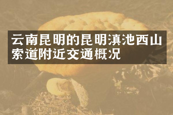 云南昆明的昆明滇池西山索道附近交通概况
