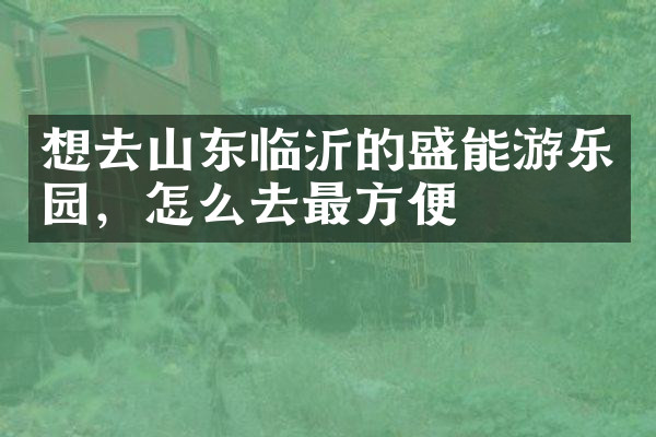 想去山东临沂的盛能游乐园，怎么去最方便