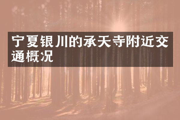 宁夏银川的承天寺附近交通概况