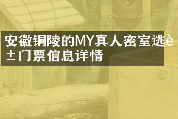安徽铜陵的MY真人密室逃脱门票信息详情