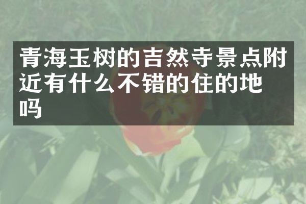 青海玉树的吉然寺景点附近有什么不错的住的地方吗