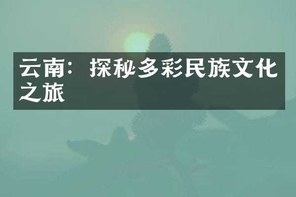 云南：探秘多彩民族文化之旅