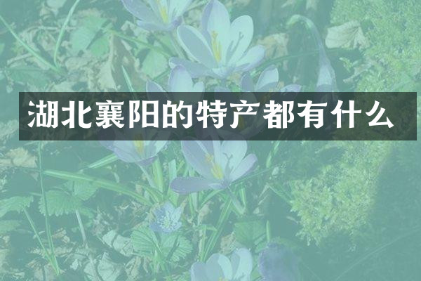湖北襄阳的特产都有什么