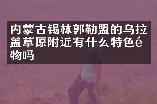 内蒙古锡林郭勒盟的乌拉盖草原附近有什么特色食物吗