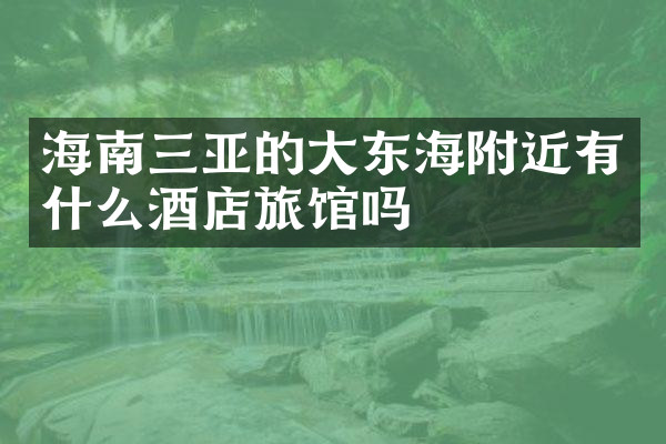 海南三亚的大东海附近有什么酒店旅馆吗