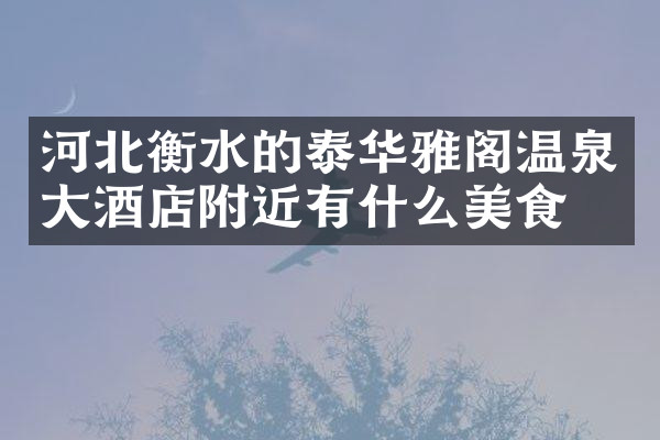 河北衡水的泰华雅阁温泉大酒店附近有什么美食