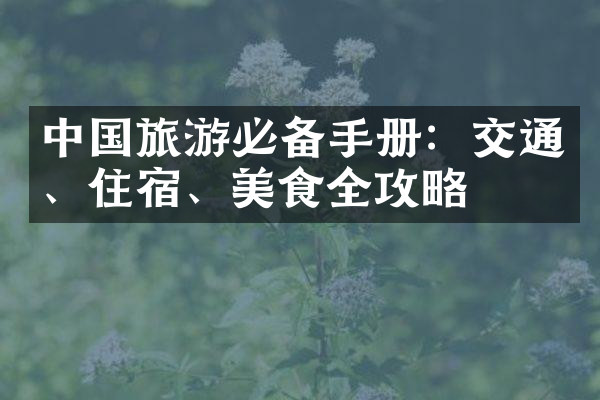 中国旅游必备手册：交通、住宿、美食全攻略