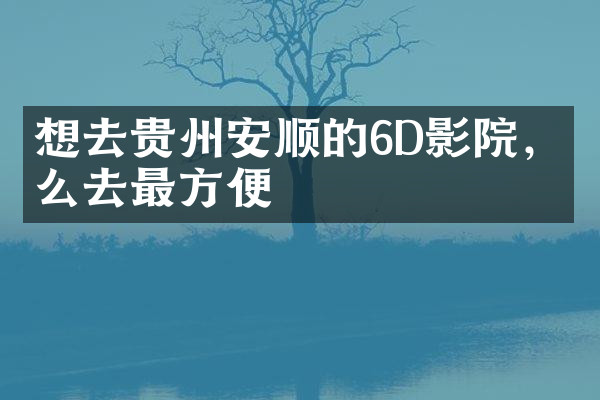 想去贵州安顺的6D影院，怎么去最方便