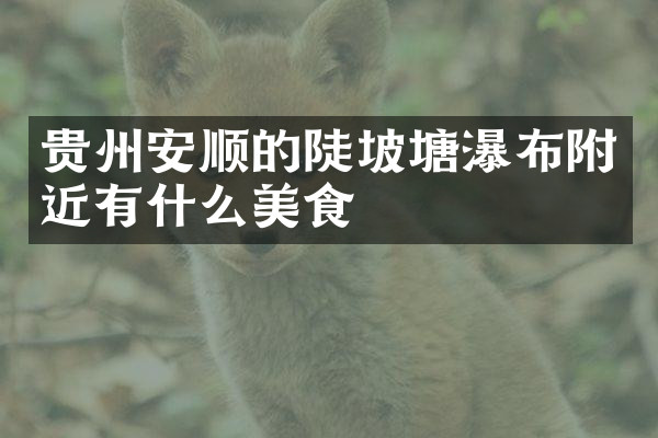 贵州安顺的陡坡塘瀑布附近有什么美食