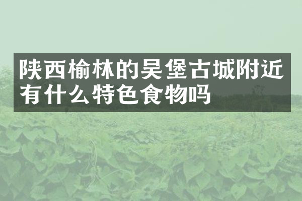 陕西榆林的吴堡古城附近有什么特色食物吗