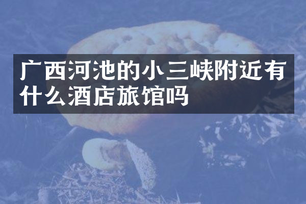 广西河池的小三峡附近有什么酒店旅馆吗