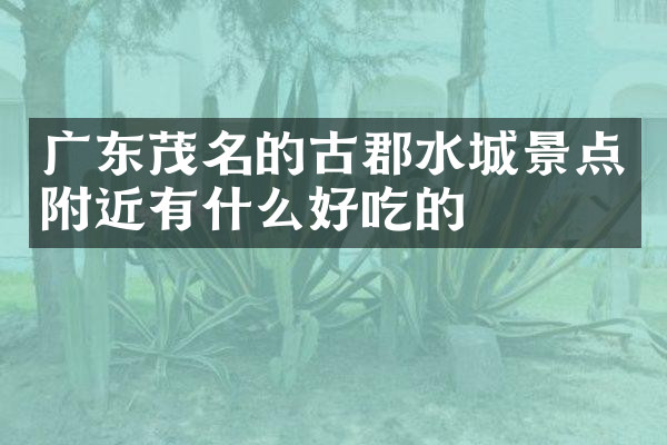 广东茂名的古郡水城景点附近有什么好吃的