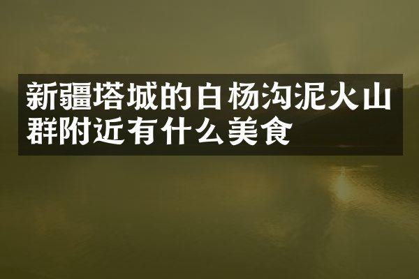 新疆塔城的白杨沟泥火山群附近有什么美食