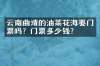 云南曲靖的油菜花海要门票吗？门票多少钱？