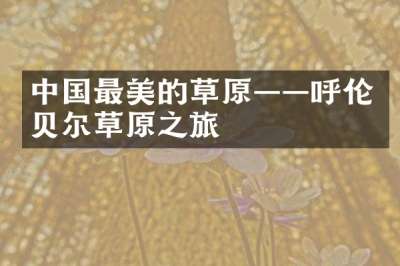 中国最美的草原——呼伦贝尔草原之旅
