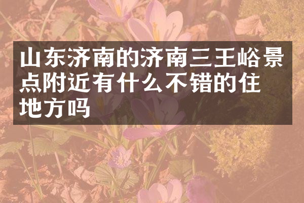 山东济南的济南三王峪景点附近有什么不错的住的地方吗