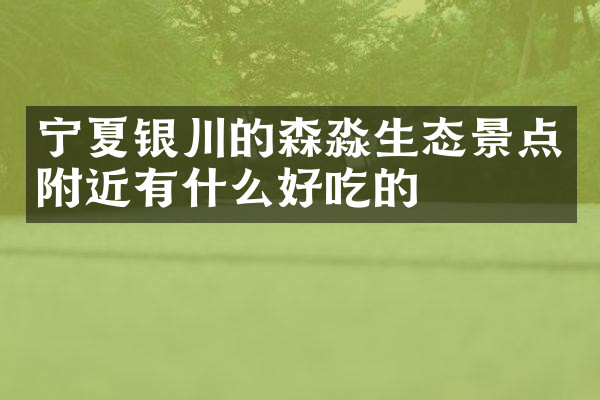 宁夏银川的森淼生态景点附近有什么好吃的