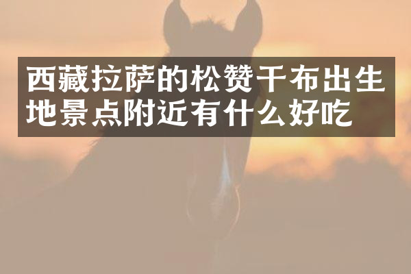 西藏拉萨的松赞干布出生地景点附近有什么好吃的