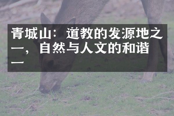 青城山：道教的发源地之一，自然与人文的和谐统一