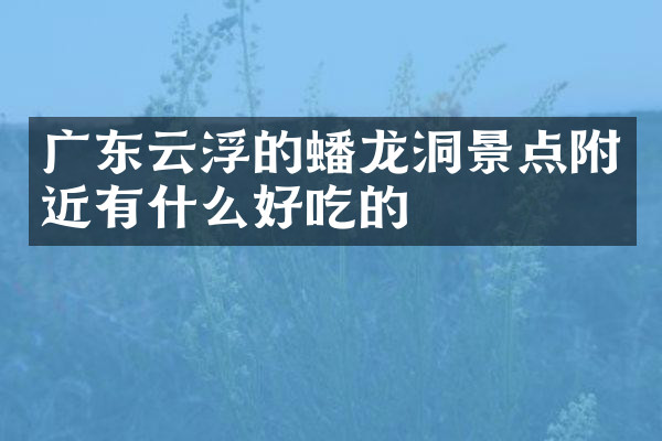 广东云浮的蟠龙洞景点附近有什么好吃的
