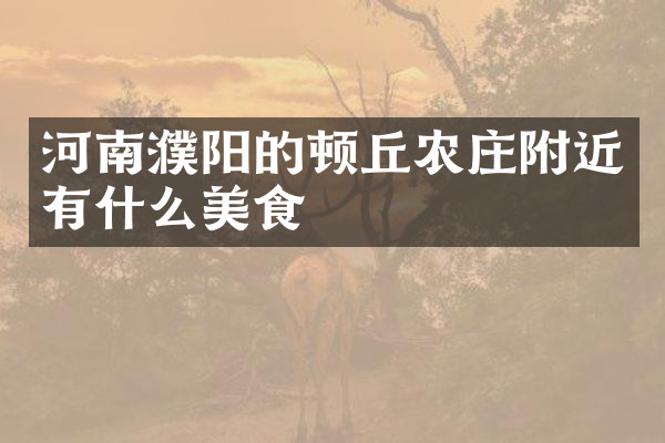 河南濮阳的顿丘农庄附近有什么美食