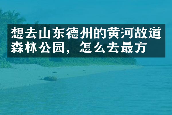 想去山东德州的黄河故道森林公园，怎么去最方便