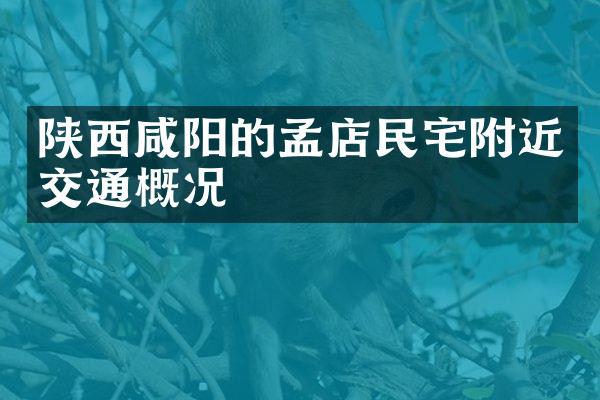 陕西咸阳的孟店民宅附近交通概况