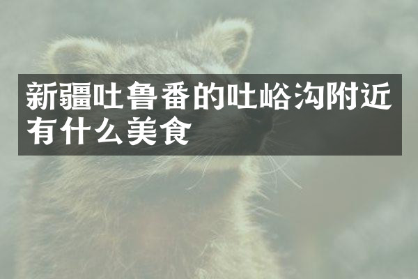 新疆吐鲁番的吐峪沟附近有什么美食