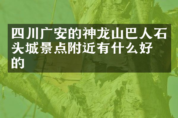 四川广安的神龙山巴人石头城景点附近有什么好吃的