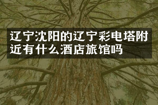 辽宁沈阳的辽宁彩电塔附近有什么酒店旅馆吗