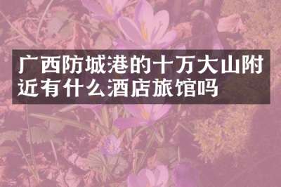 广西防城港的十万大山附近有什么酒店旅馆吗