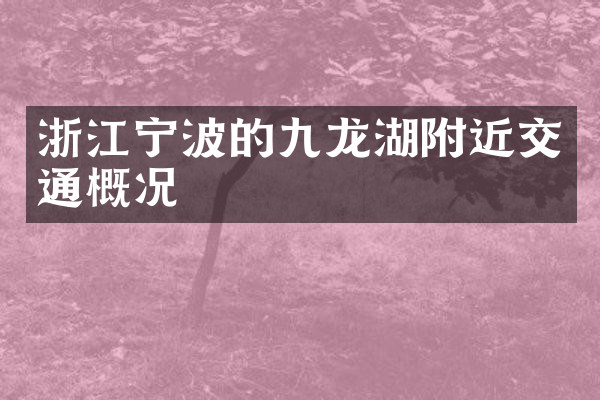 浙江宁波的九龙湖附近交通概况